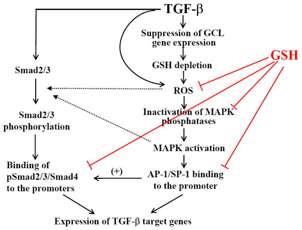 Fig 5