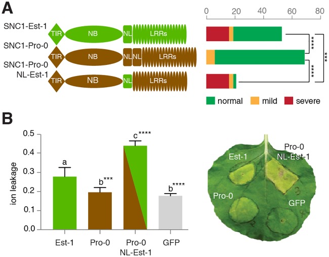 Fig 5