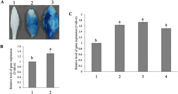 Fig. 11