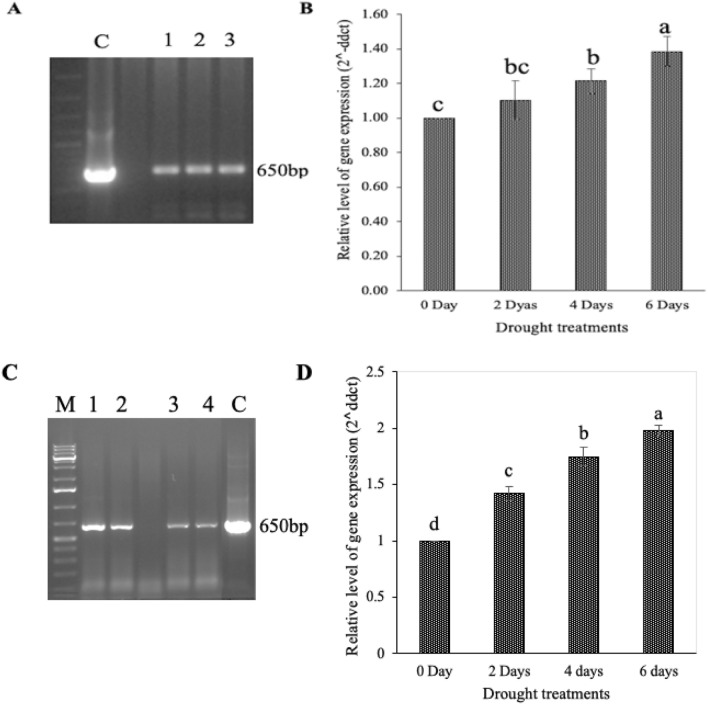 Fig. 13