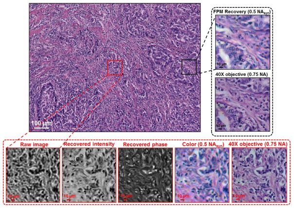 Fig. 6