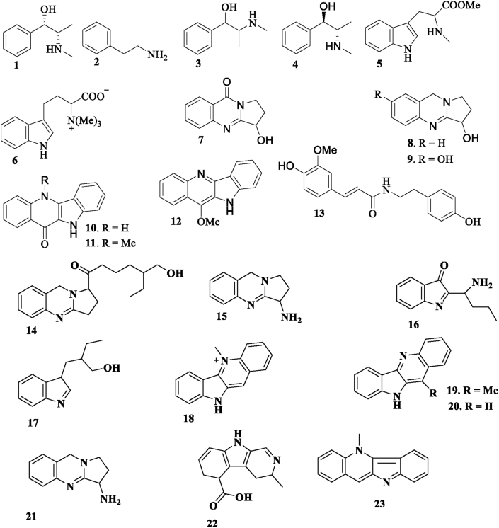 Figure 1