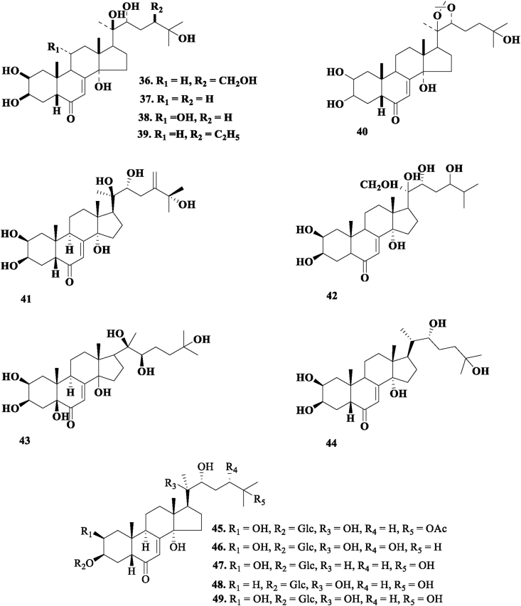 Figure 4