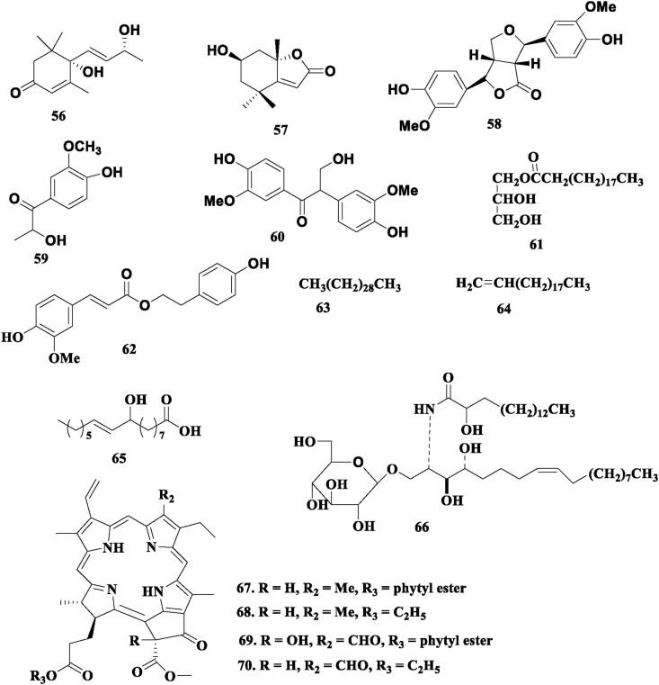 Figure 7