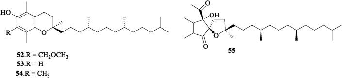 Figure 6