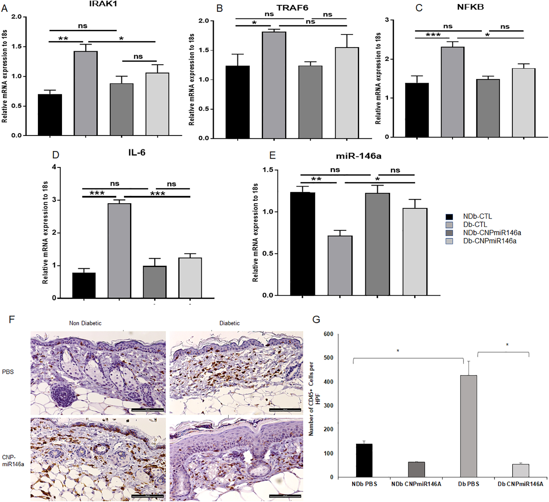 Figure 2: