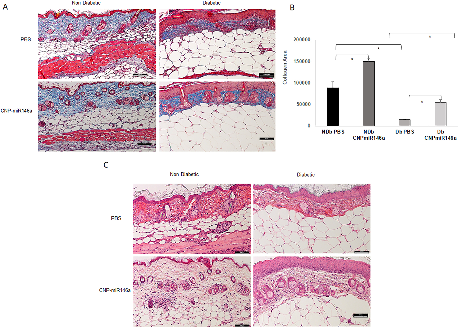 Figure 5: