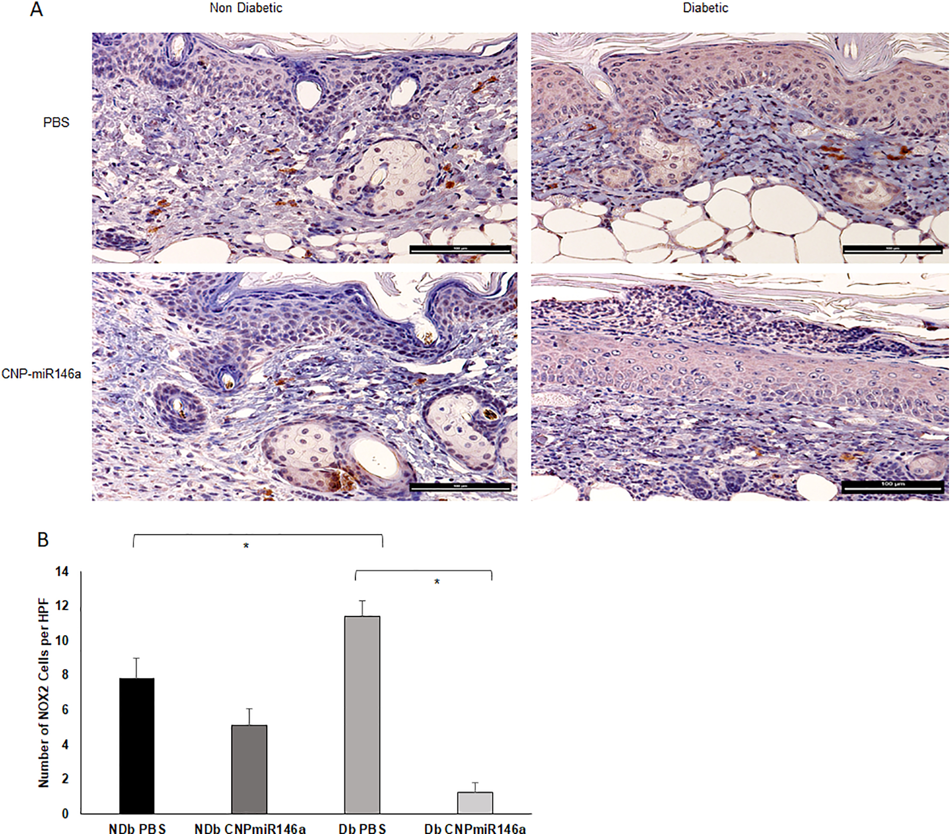 Figure 3: