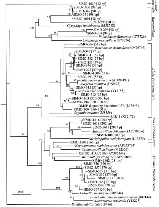 FIG. 6.