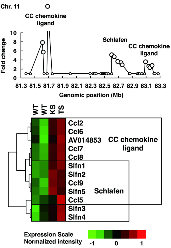 Figure 5