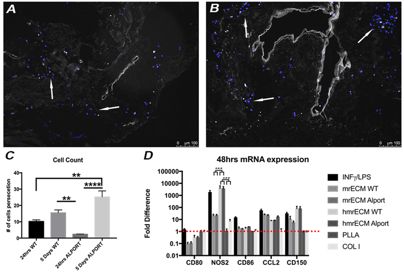 Figure 4: