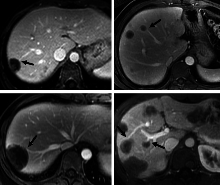 Fig. 7