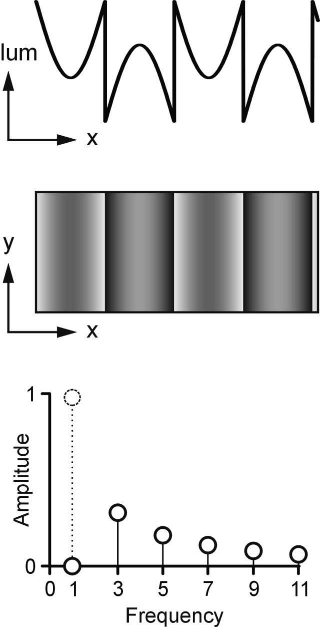 FIGURE 1.