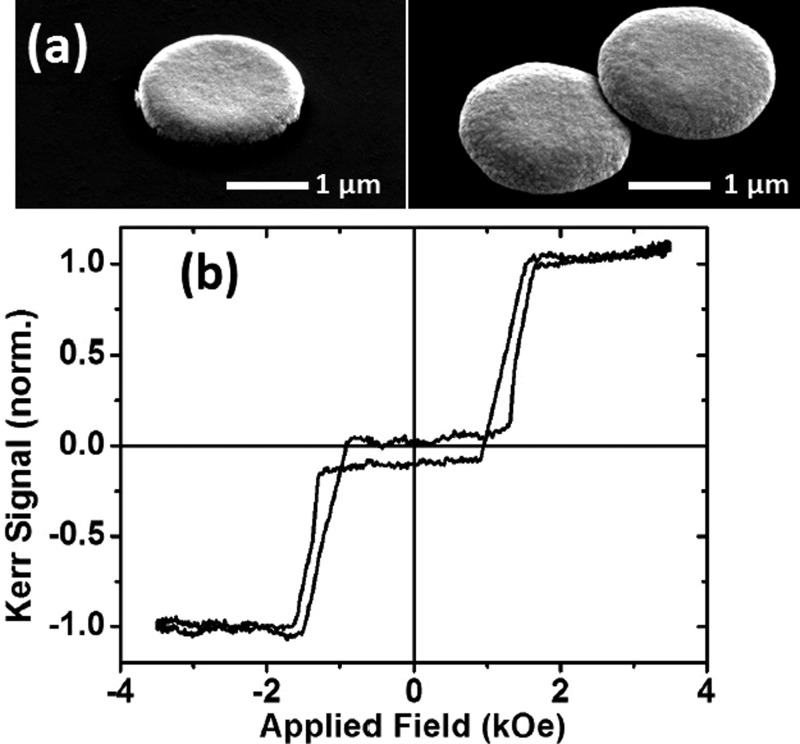 FIG. 3.