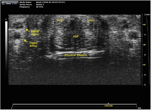 Figure 6.