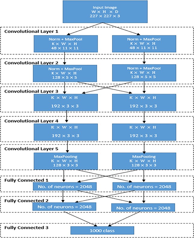 Fig 1