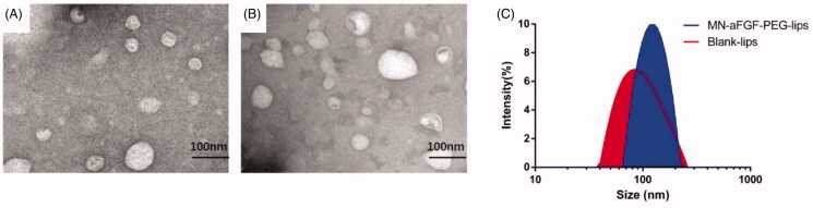 Figure 2.