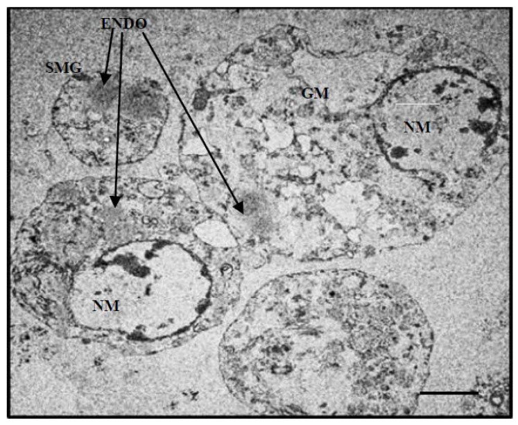 Figure 9