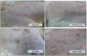Fig. (11)