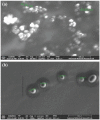 Fig. (8)