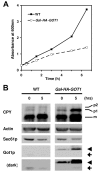 Fig. 7.