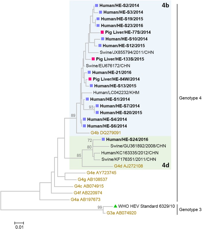 FIG 1