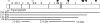 F<sc>igure</sc> 3.—