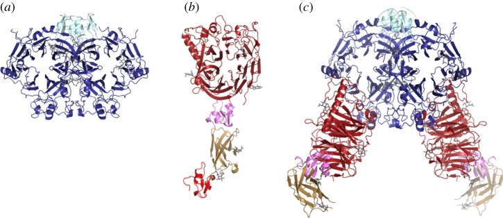 Figure 2.