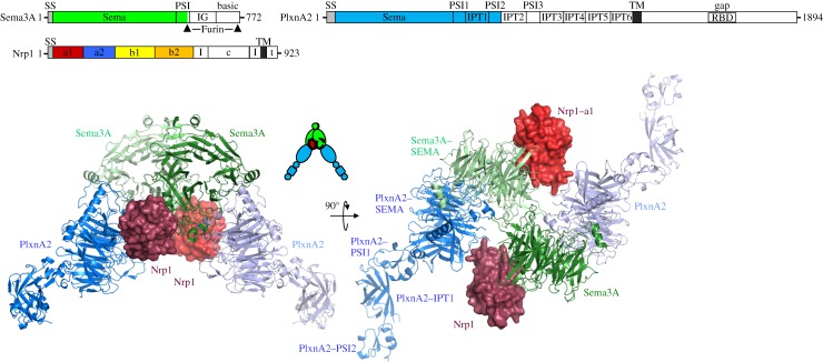 Figure 3.