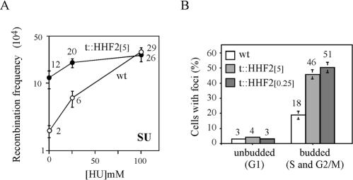 FIG. 7.