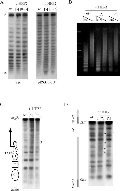 FIG. 2.