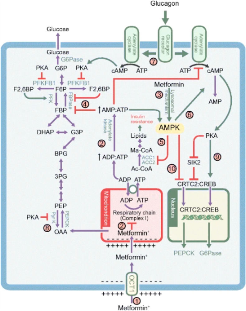 Fig. 2