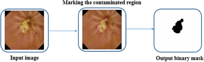 Fig 6: