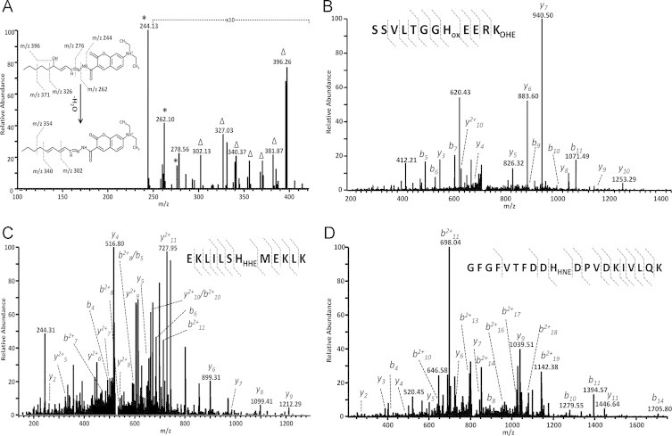 Fig. 4