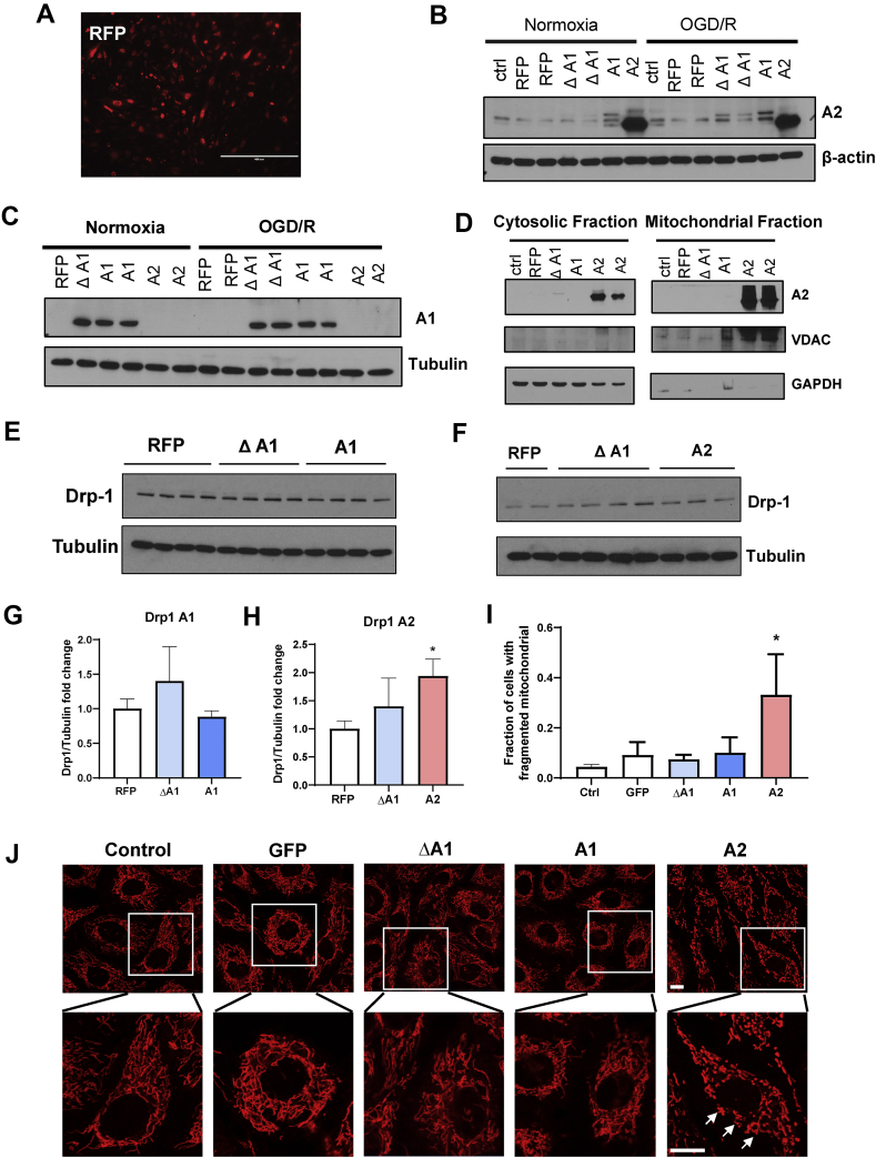 Figure 6