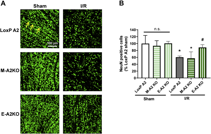 Figure 3