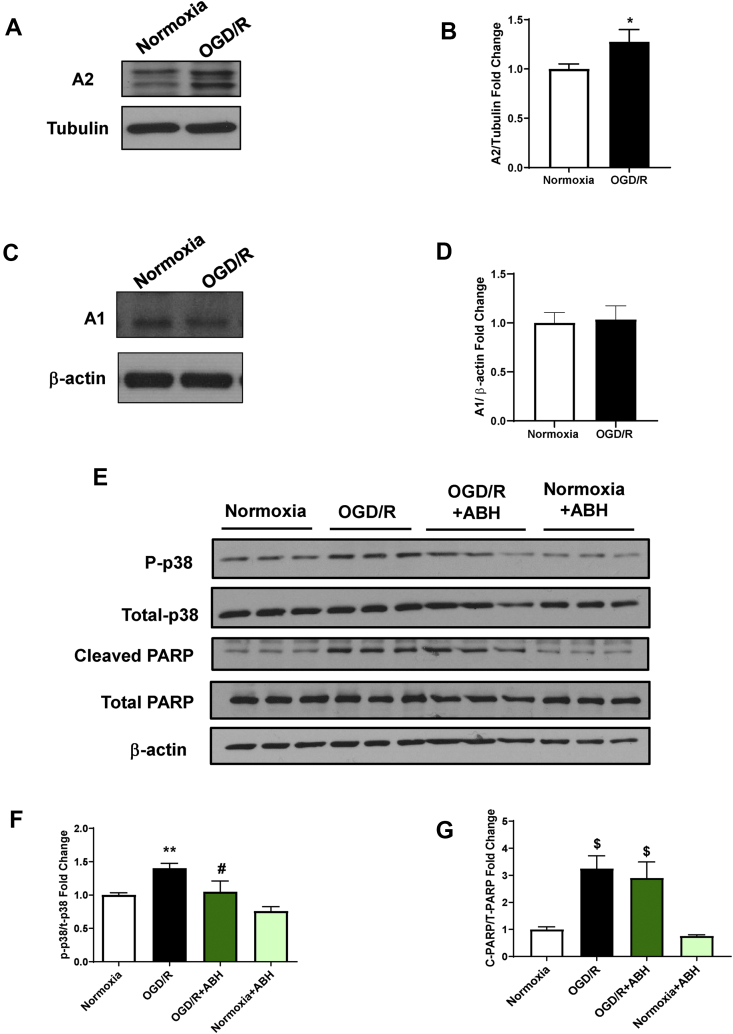 Figure 4