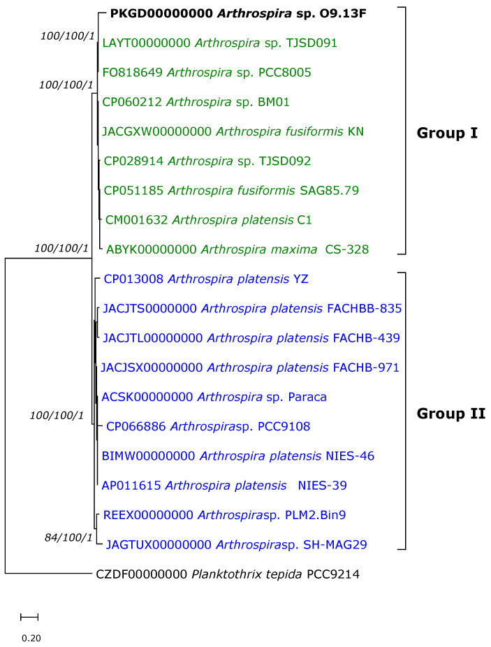 Figure 6