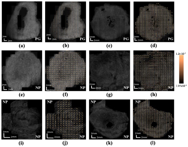 Fig. 9