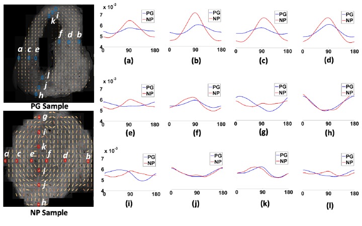 Fig. 10