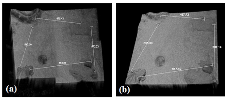 Fig. 6