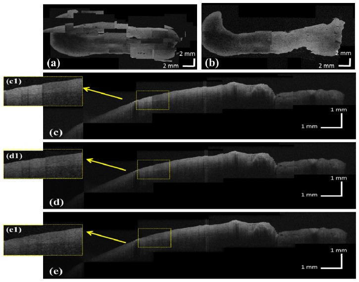 Fig. 7