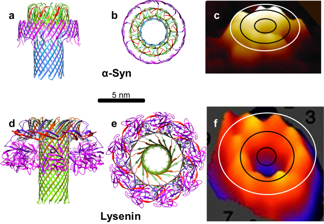 Figure 21.