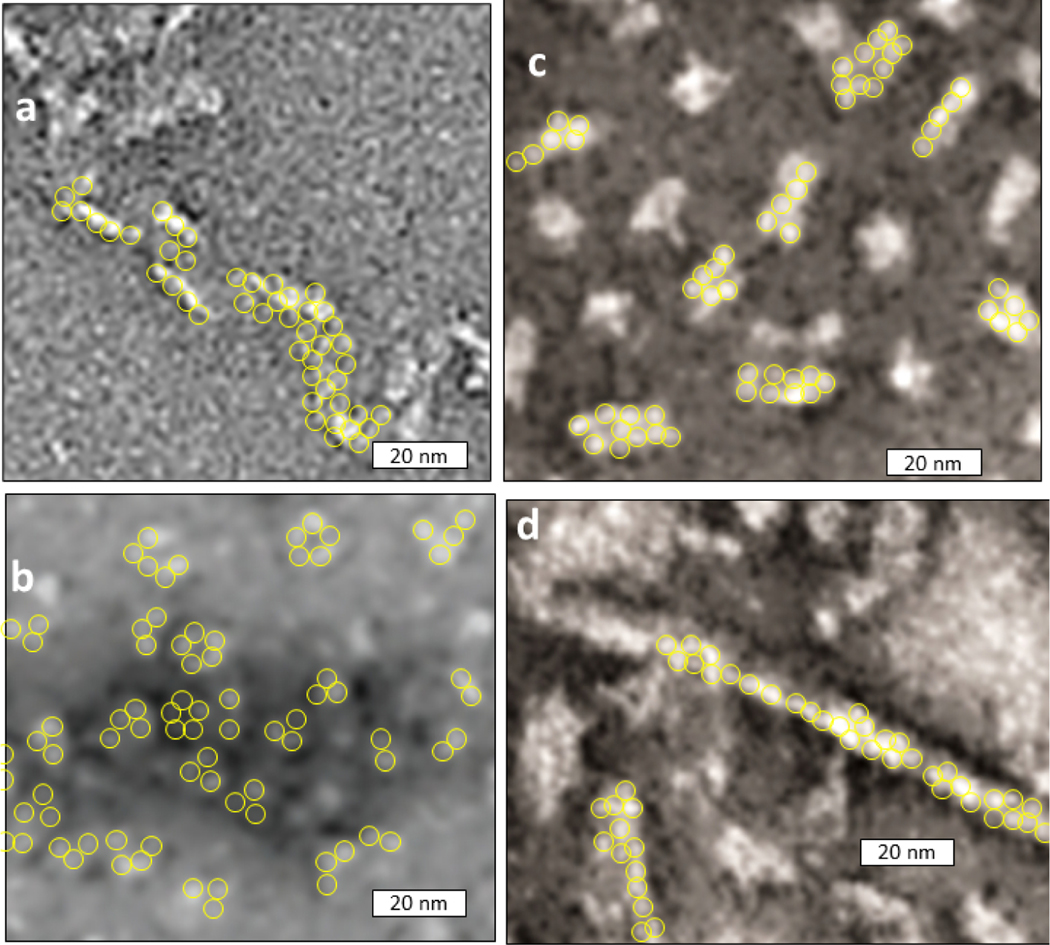 Figure 4.