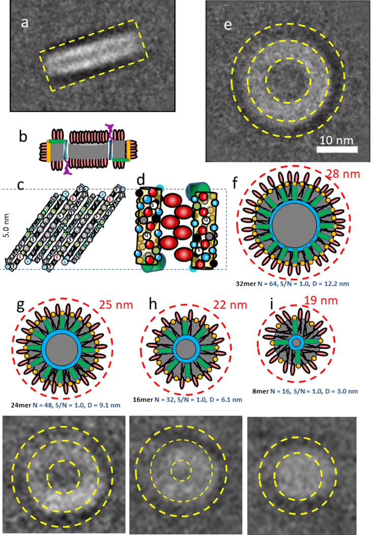 Figure 25.