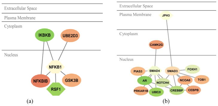 Fig. 7