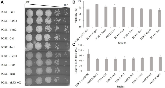 FIGURE 2