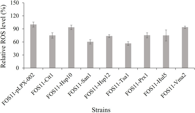 FIGURE 4