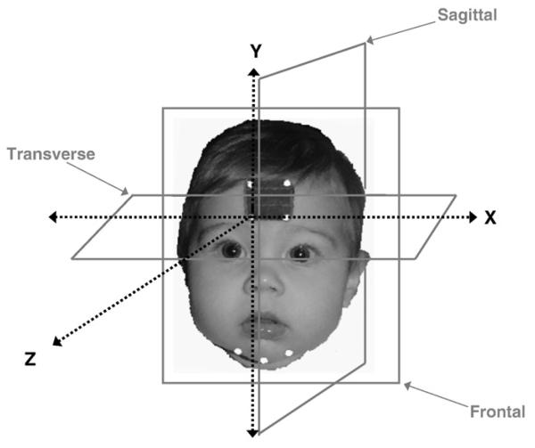 Fig. 3