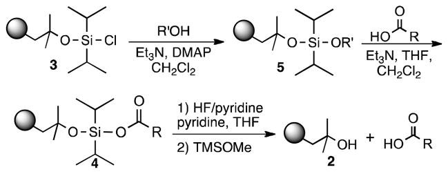 Scheme 2